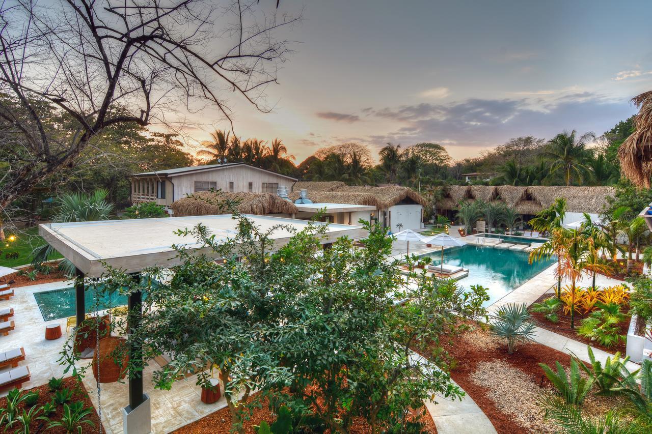 The Gilded Iguana Hotel Nosara ภายนอก รูปภาพ